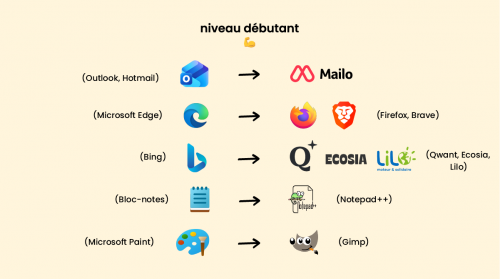 alternative MS image2