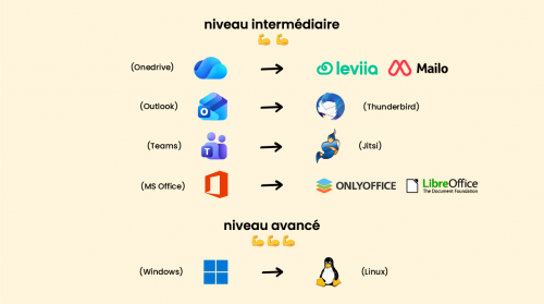 alternative MS image2